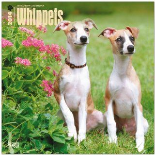 Whippets Calendar (Multilingual Edition): Inc Browntrout Publishers: 9781465013200: Books