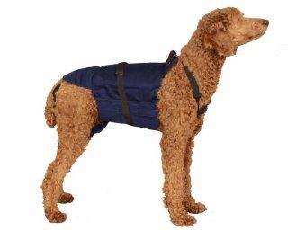 SammyDoo Pet Diaper Wrap Fits, Approximately 40 Pound to 75 Pound, 19 to 23 Inch, Girth 30 to 36 Inch, Large, Blue : Pet Training And Behavioral Aids : Pet Supplies
