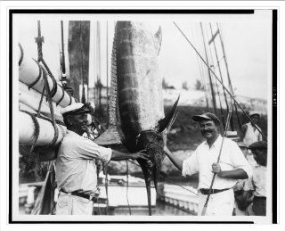 Historic Print (L): [Ernest Hemingway posed with Capt. Joe Russell of Key West beside hanging marlin or sail  