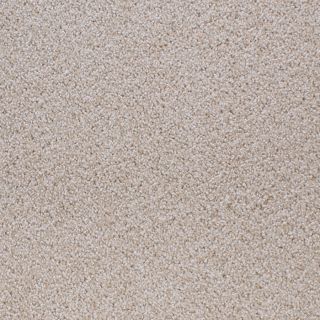 STAINMASTER Active Family Oak Grove Cream Cut and Loop Indoor Carpet
