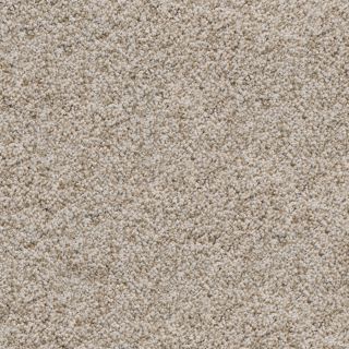 Dixie Group Active Family Exuberance I 112 Brown Textured Indoor Carpet