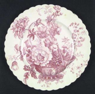 Royal Staffordshire Charlotte Pink Dinner Plate, Fine China Dinnerware   Pink Ba