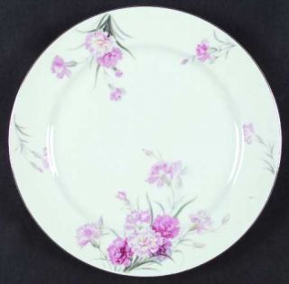 Noritake Amherst (Gold Trim) Dinner Plate, Fine China Dinnerware   Pink Carnatio