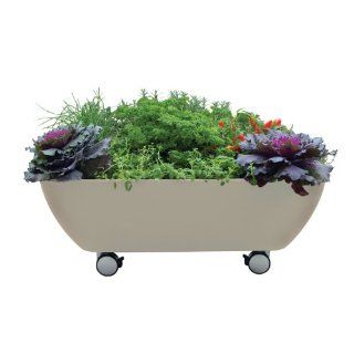 Garden365 Mobile Garden Planter with Wheels, Latte : Raised Garden Kits : Patio, Lawn & Garden