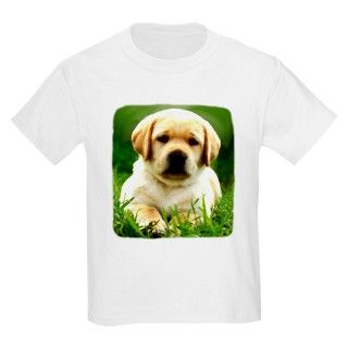 Yellow Labrador Puppy Dog Kids T Shirt by yellowlabpuppy