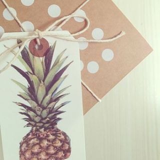 pineapple gift tag pack by mcdonough & davies