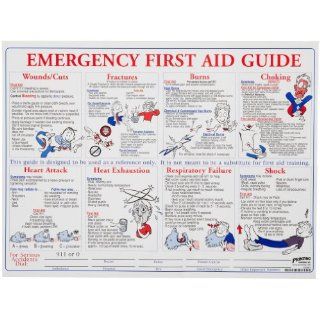 Brady PS128E 18" Height, 24" Width, Laminated Paper, Black, Red, Blue On White Color Prinzing First Aid Training Poster, Legend "Emergency First Aid Guide": Industrial & Scientific