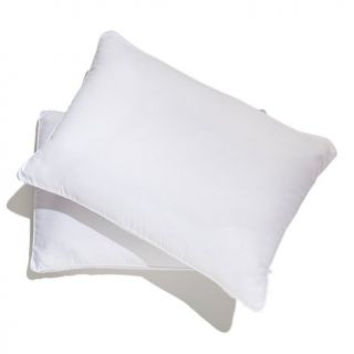 Concierge Collection SuperLoft™ Bed Pillows  2 pack