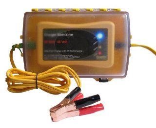 Save A Battery Weather Proof 48 Volt 50 Watt Battery Charger Maintainer Desulfator 2365 48 W: Automotive