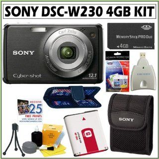 Sony Cyber shot DSC W230/B 12.1 MP Digital Camera in Black + 4GB MEMORY STICK: Camera & Photo