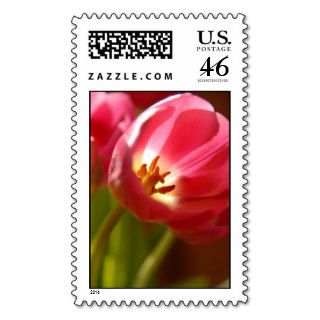 Spring Tulips Stamps