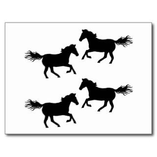 Black and White Wild Horses Post Card