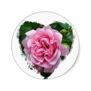 Climbing Rose Coordinating Items Round Sticker