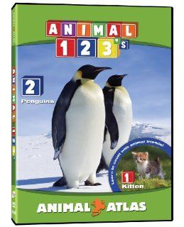Animal Atlas 123s: Animals!, Animal Atlas: Movies & TV