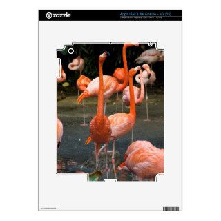 A number of Flamingos Decal For iPad 3