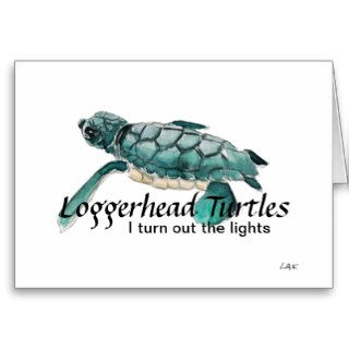 loggerhead turtle on greeting card.