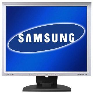 Samsung 193T 48,3 cm TFT Monitor silber: Computer & Zubehr