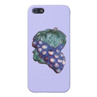 Vintage Grape Plaster Plaque iPhone 5 Case