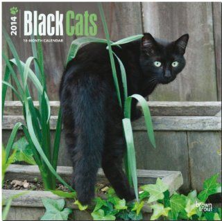 Black Cats 2014   Schwarze Katzen: Original BrownTrout Kalender Mehrsprachig Kalender: BrownTrout Kalender bei Strtz: Bücher