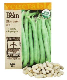 Lake Valley Seed   Organic Bush Bean Blue Lake 274 Seeds   20 Grams : Patio, Lawn & Garden