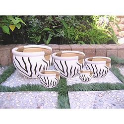 International Caravan Zebra Pattern Fishbowl Planters With Rope Wrapped Handles (set Of 5)