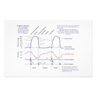 Wiggers Diagram Stationery