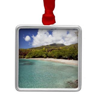 A beautiful day at Hamoa Beach, Maui, Hawaii. Christmas Tree Ornaments
