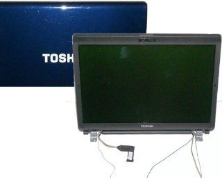 TOSHIBA SATELLITE L355D S7901, L355 S7905, L355 S7915 LAPTOP LCD REPLACEMENT SCREEN 17" WXGA+ CCFL (GLOSSY): Computers & Accessories