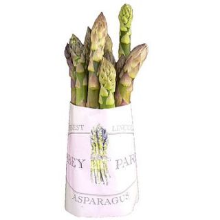 row of asparagus for a season by abbey parks