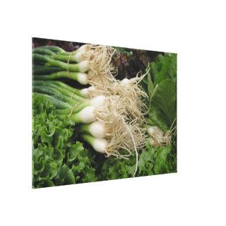 Spring onions and lettuce gallery wrapped canvas