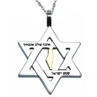 Stainless Steel Judaica Pendant with Star of David Symbol and "Love the World" Hebrew Scripture. It comes with Rolo Type Chain (22 Inches): Jewelry