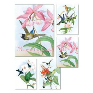 Hummingbirds   Box Set of 20 Assorted Note Cards and Envelopes Health & Personal Care