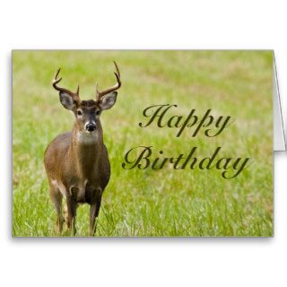 Happy Birthday Cades Cove Whitetail Buck Card