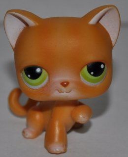 Shorthair Tabby #11 (Orange, Green Eyed)   Littlest Pet Shop (Retired) Collector Toy   LPS Collectible Replacement Single Figure   Loose (OOP Out of Package & Print) : Everything Else