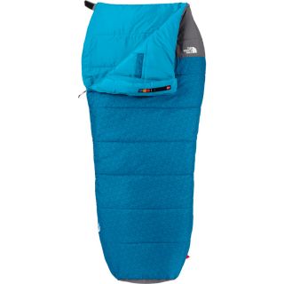 The North Face Dolomite Sleeping Bag: 20 Degree Synthetic
