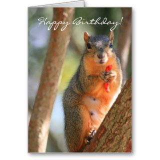 Happy Birthday squirrel greeting card