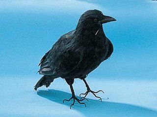 Shop Raven Collectible Bird Crow Figurine Decoration Model Statue Figure at the  Home Dcor Store