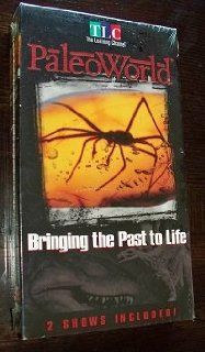 PaleoWorld Bringing the Past to Life [Color] [NTSC] [VHS Tape] Movies & TV