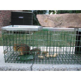 Havahart X Small Professional Style One Door Animal Trap for Chipmunk, Squirrel, Rat, and Weasel   0745 : Havahart Traps : Patio, Lawn & Garden