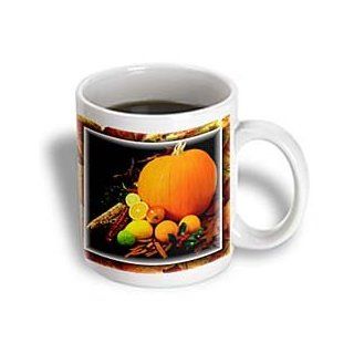 3dRose Thanksgiving Decorations Ceramic Mug, 11 Ounce: Kitchen & Dining