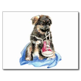 Cute German Shepherd Pup, Dog, Pet animal Post Card