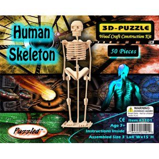 Human Skeleton   3D Jigsaw Woodcraft Kit Wooden Puzzle: Toys & Games