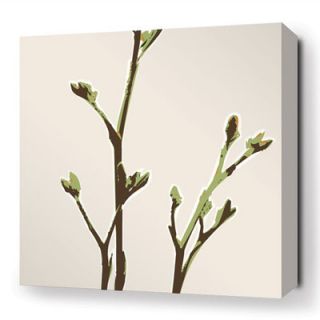 Inhabit Botanicals Axis Stretched Graphic Art on Canvas in Grass AXGR Size 1