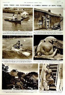 1951 SHIP SINKING CAMPANIA DALTON OCTOPUS FLORIDA CANOE   Prints
