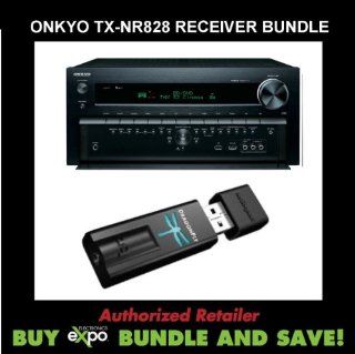 Onkyo TX NR828 7.2 Channel Wireless Network A/V Receiver and AudioQuest Drago: Electronics