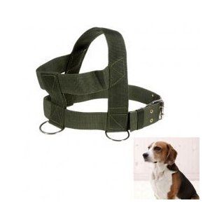 HP00013G Best Quality Canvas Adjustable Pet Dog Harness Shoulder Strap Leash with D ring   Green: Cell Phones & Accessories