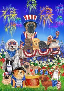 Patriotic USA Firework Star Stripes Dog House Flag : Outdoor Flags : Patio, Lawn & Garden