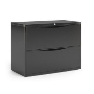 Mayline CSII 2 Drawer  File C841H Finish Black