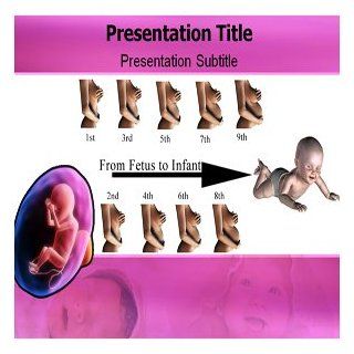 Fetal To Infant PowerPoint Template   Fetal To Infant PowerPoint (PPT) Backgrounds Templates Software
