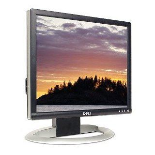 DELL 1703FPT 17" Flat Panel Color Monitor Computers & Accessories
